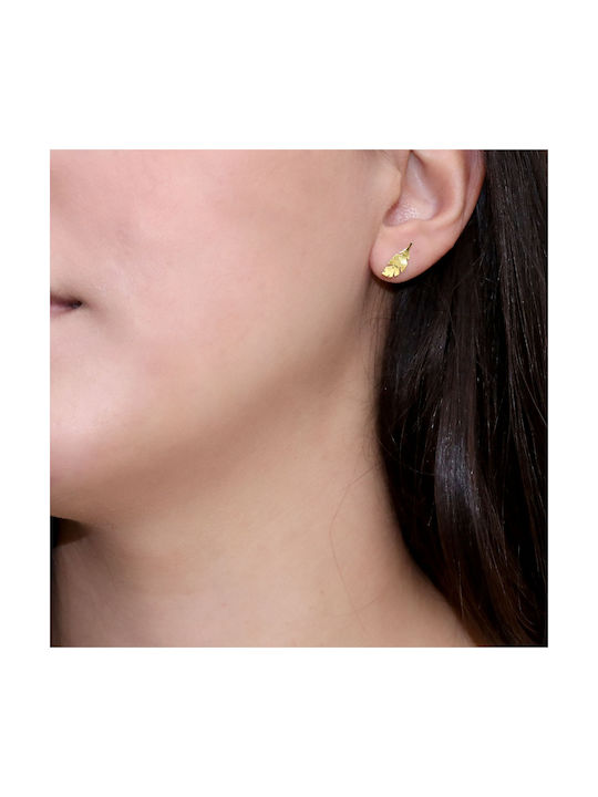 Earrings made of Gold 14K