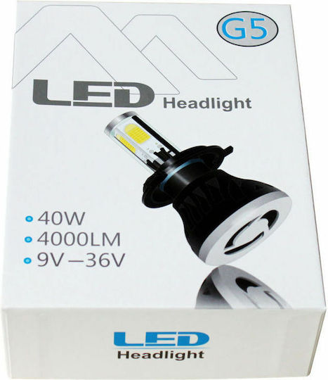 Car Xenon Kit H8 CAN Bus 40W 12V 6000K Cold White