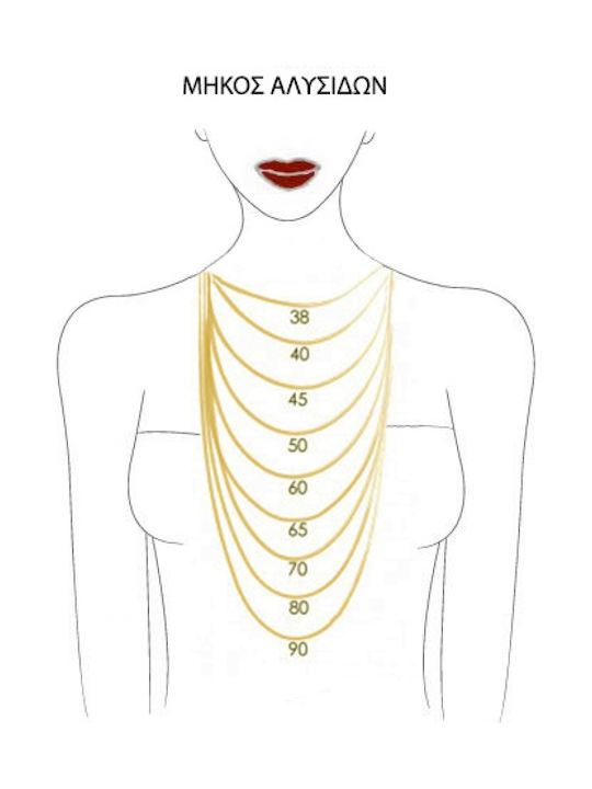 Gold Chain Neck 9K Length 40cm