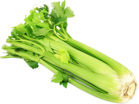 Gemma Σπόροι Σέλινου Apium Graveolens 4gr