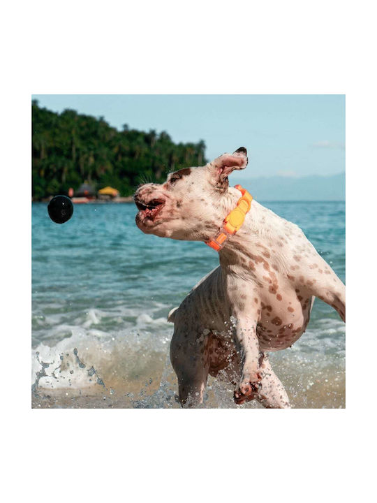 Zee-Dog Hundehalsband in Orange Farbe Mittel