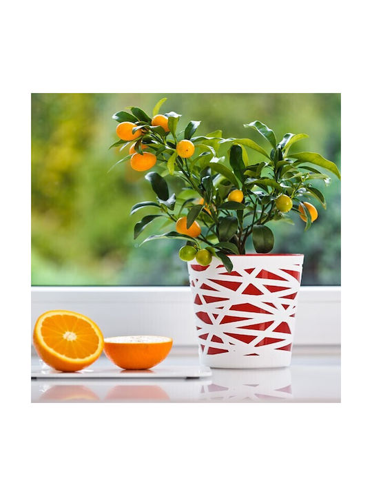 Don-Plast Pot Plastic 19x19x19cm.