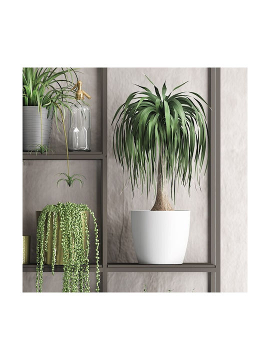 Don-Plast Ghiveci Plastic 25x25x22.9cm.