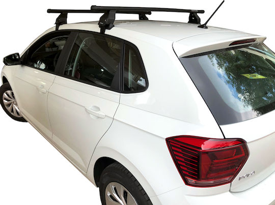 (with Roof Rack Legs) Silver