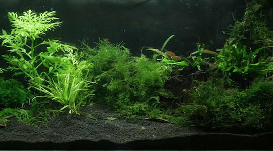 HS Aqua Aquarium Soils / Substrates 20kg