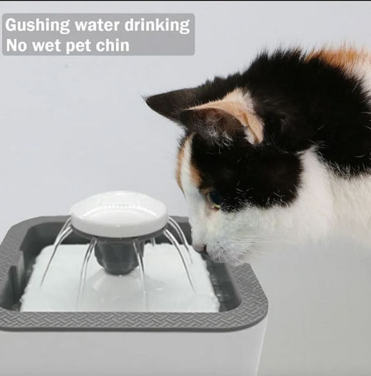 Waterer / Fountain for Cat 2.5lt