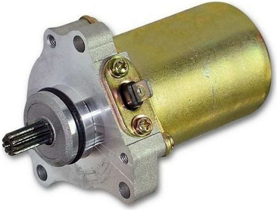 Motorrad-Startermotor für Kawasaki JOY-R für Modenas Kriss / X-CITE 47343
