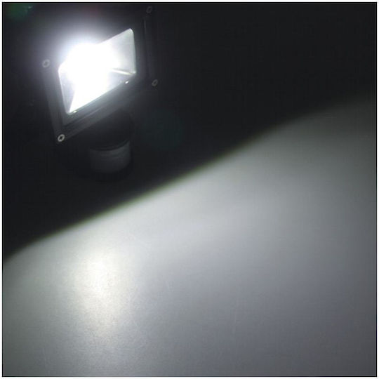 LTC Audio Στεγανός Προβολέας LED 10W με Αισθητήρα Κίνησης IP44