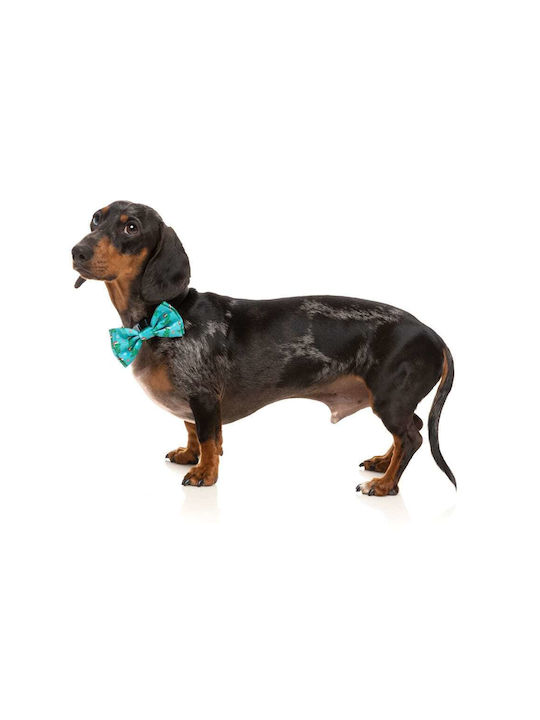 Fuzzyard Light Blue Dog Bow tie 10cm