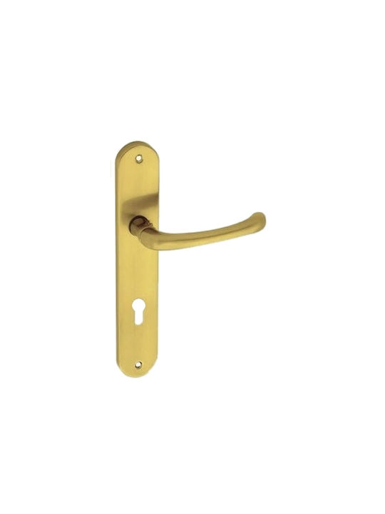 Import Hellas Lever Front Door with Plate Right 215 με Gold