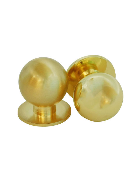 Knob Furniture made of Metallic in Gold Color 3405005540028 1pcs