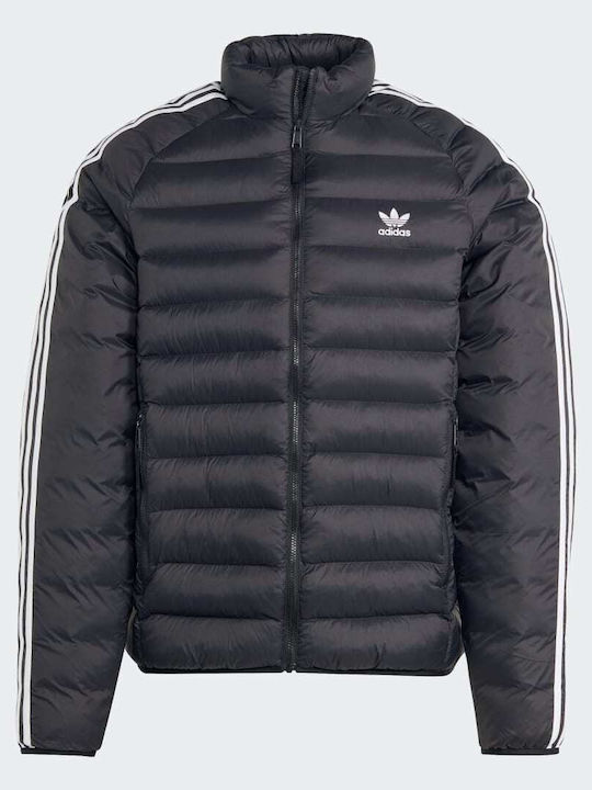 Originals Winter Jacke Puffer Schwarz