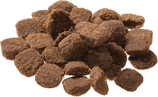 Adult Sensitive 1.8kg Dry Food Grain-Free for Adult Dogs with Fish