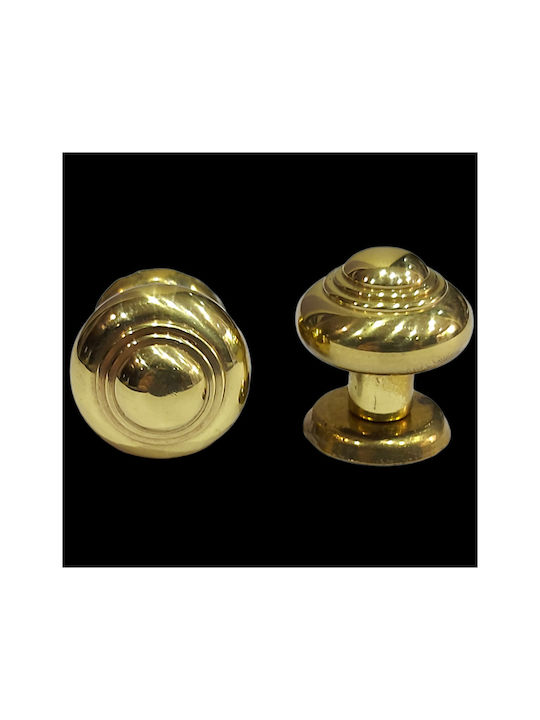 Eurofer Knob Furniture made of Metallic Gold-glossy 11389-000-BRZ2 1pcs