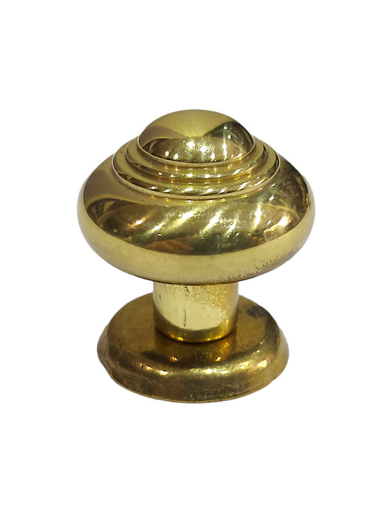 Eurofer Knob Furniture made of Metallic Gold-glossy 11389-000-BRZ2 1pcs