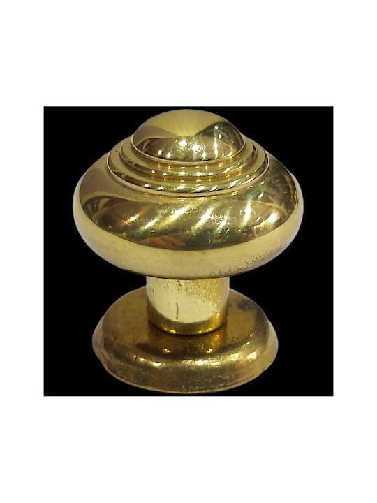 Eurofer Knob Furniture made of Metallic Gold-glossy 11389-000-BRZ2 1pcs