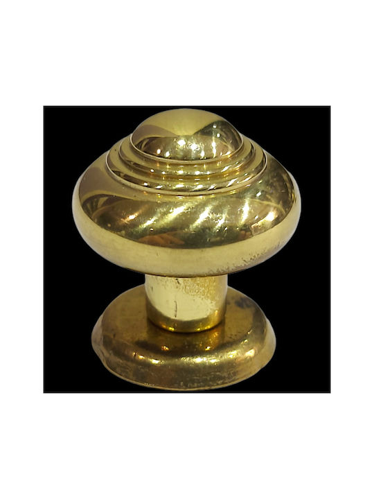 Eurofer Knob Furniture made of Metallic Gold-glossy 11389-000-BRZ2 1pcs