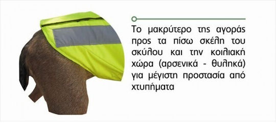 Outdoor Life Μπουφάν Σκύλου Κίτρινο