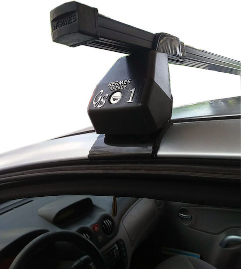 Hermes Kit (with Roof Rack Legs) Silver