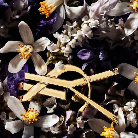 Ysl Libre L'Absolu Platine Парфюм 50мл