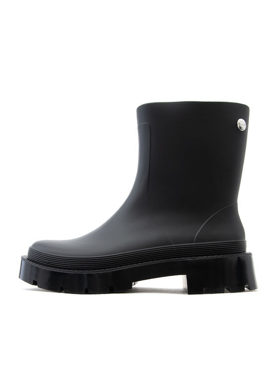 Scholl