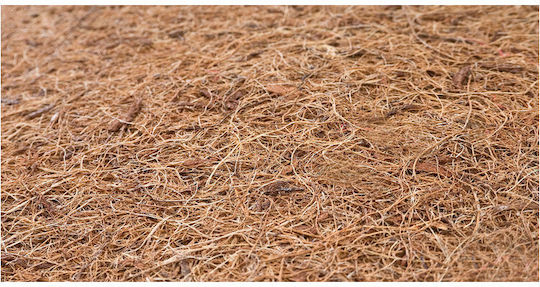 Sensillo Saltea Pentru Patut 60x120+3cm