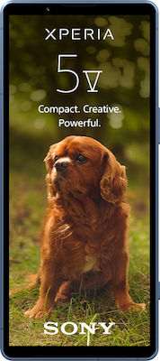 Sony Xperia 5 V 5G Dual SIM (8GB/128GB) Μπλε
