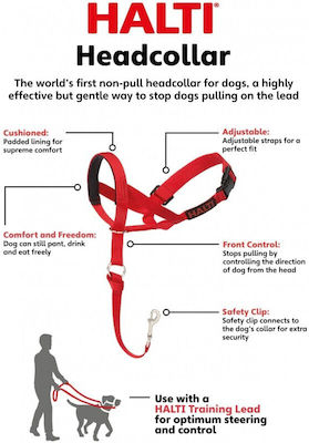 Company of Animals Training Dog Muzzle