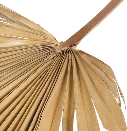 HomeMarkt Decorative Fan Handmade Brown Wicker Material 102x3x30cm