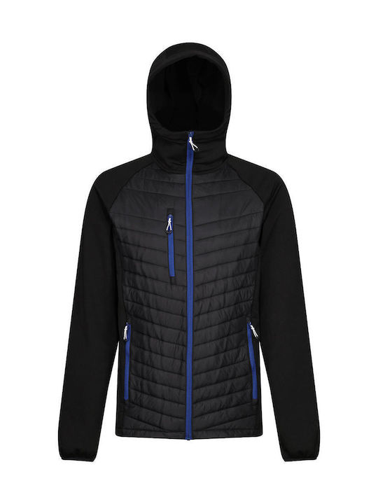 Regatta Men's Winter Puffer Jacket Black/Royal