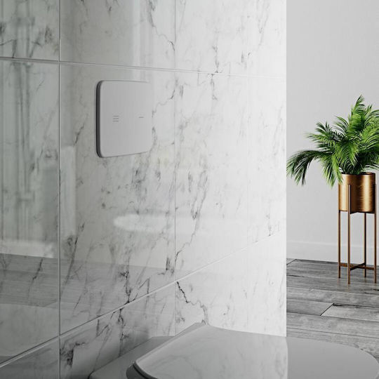 Ideal Standard Flush Plate Dual Flush