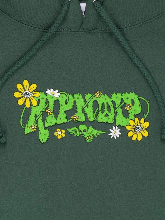 Sweatshirt mit Kapuze Grün