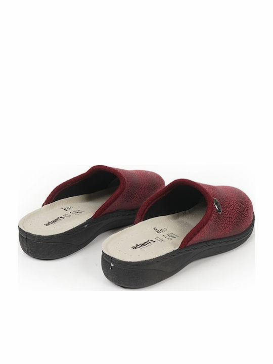 Adam's Shoes