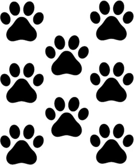 Simoni Racing Коли стикери Cat Fingerpints 12 x 10см в Черен цвят 8бр