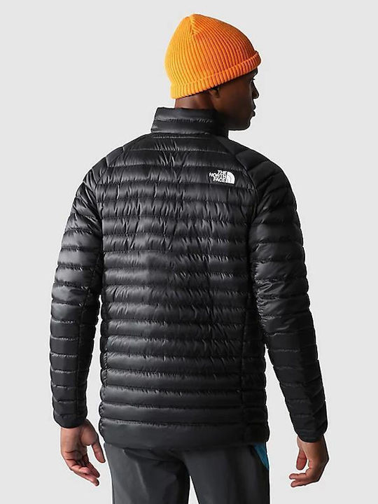 The North Face Herren Winter Jacke Puffer Schwarz