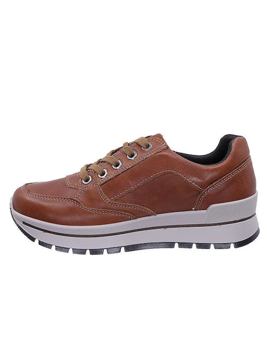 Anatomical Sneakers Tabac Brown