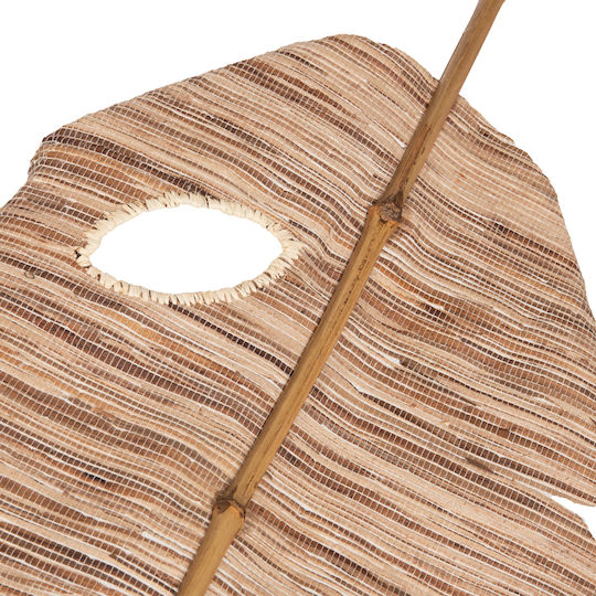 Dekorative Feder Braun 32cm HomeMarkt