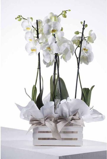 Bama Italy Decorative Basket Plastic White 41x31x14cm