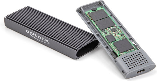 DeLock Case for Hard Drive M.2 PCI Express / SATA III with Connection Type-C