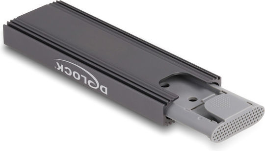 DeLock Θήκη για Σκληρό Δίσκο M.2 PCI Express / SATA III NVME με σύνδεση Type-C