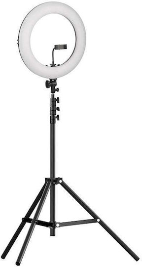 Qiaoyang Ringlicht 26cm 2500 - 6000K mit Bodenstativ und Handyhalter