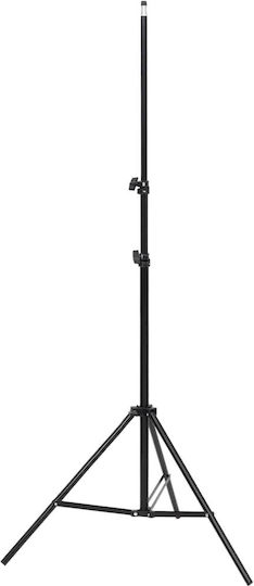 vidaXL Fotostudio-Kit Set Lichter Beleuchtungsset für Studio