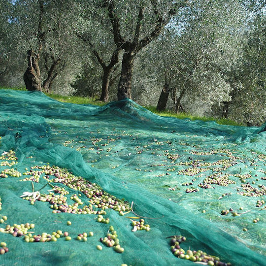 Grasher Olive Net 5x8m Density 90gr/m²