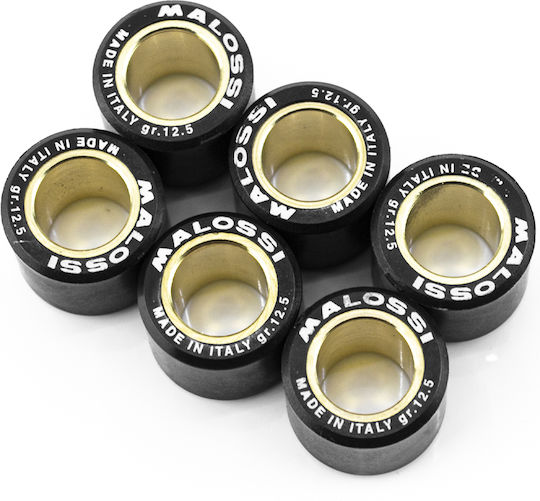 Malossi 12.5gr Φ20 x 17