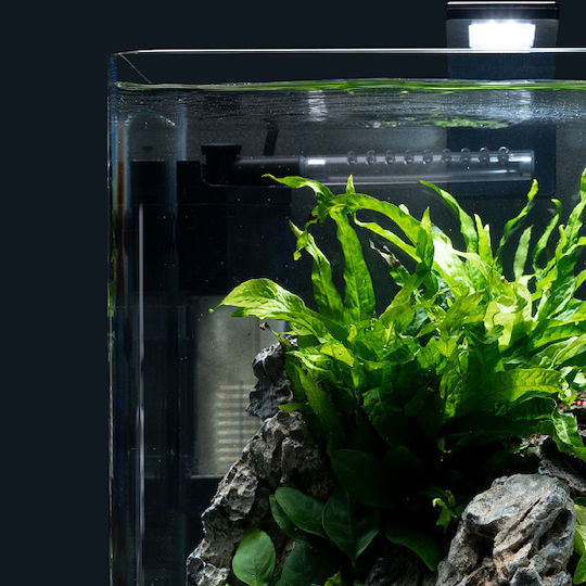 Dennerle Nano Corner Internal Filter 2W for Aquariums up to 60lt