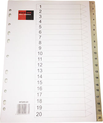 Black Red Plastic Dividers for Documents A4 with Holes 20pcs