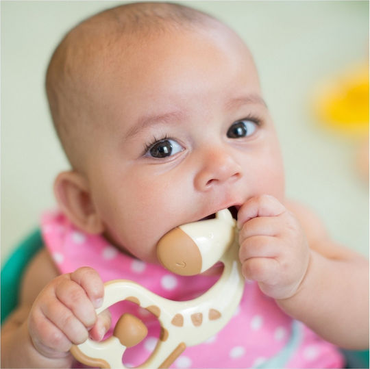 Dr. Brown's Giraffe Teething Ring made of Silicone for 3 m+