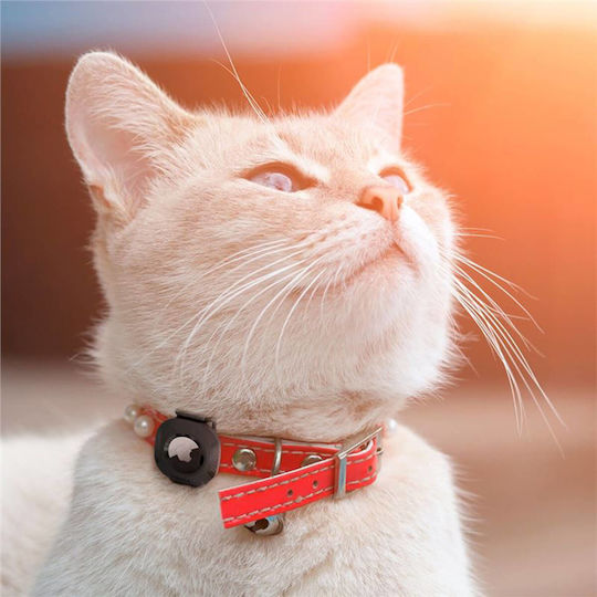 Accessories for Dog Shock Collar