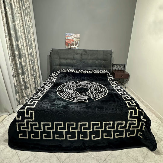 Olia Home 221