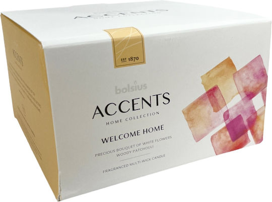 Bolsius Accents